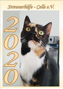 Titelbild Kalender