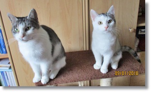 Leni und Nuri