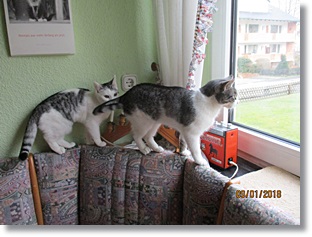 Leni und Nuri 3